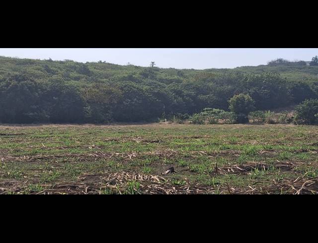 4.83HA FARM FOR SALE IN FRASER